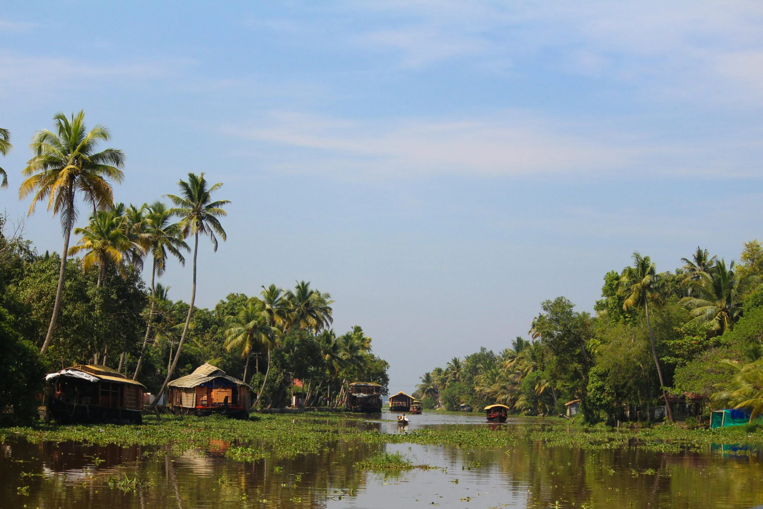 Kerala Tour Places You Don’t Just Visit, You Settle Into
